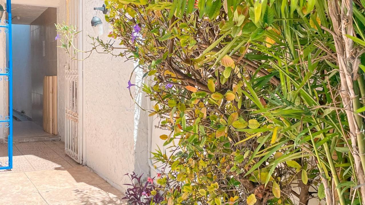 Apartamento Casa Pecari Cancún Exterior foto